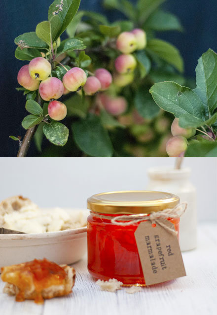 Go Wild Preserves images from photoshoot