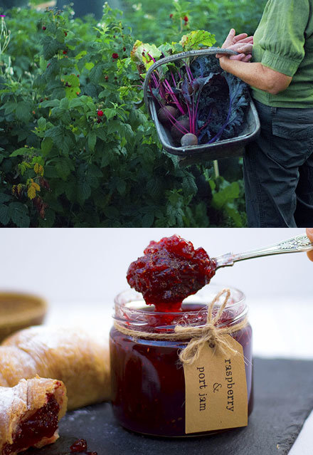 Go Wild Preserves images from photoshoot