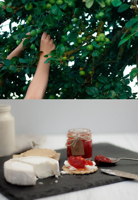 Go Wild Preserves images from photoshoot 3